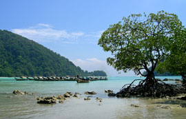 โปรแกรมทัวร์ ท่องเที่ยวหมู่เกาะสุรินทร์